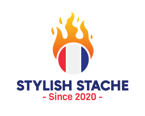 Flaming France Flag  logo design