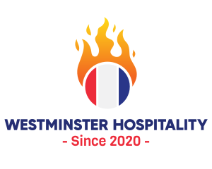 Flaming France Flag  logo design