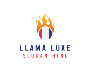 Flaming France Flag  logo design