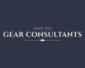 Professional Business Consultant logo design