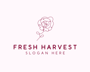 Pink Rose Flower  logo design