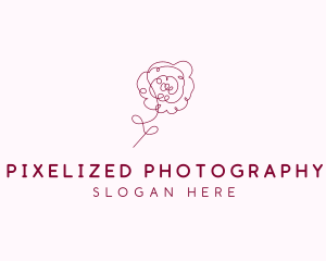 Pink Rose Flower  logo design