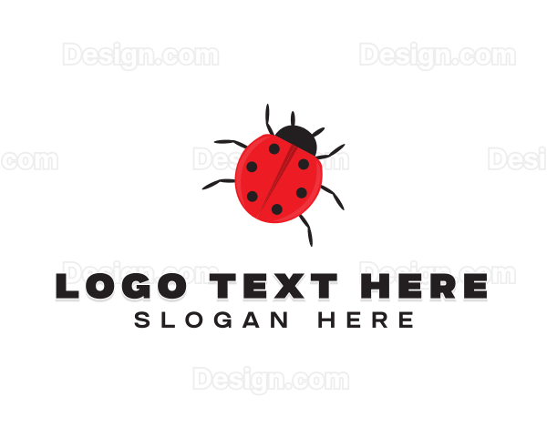 Little Ladybug Insect Logo
