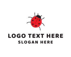 Little Ladybug Insect Logo