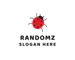 Little Ladybug Insect logo