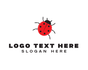 Little Ladybug Insect logo