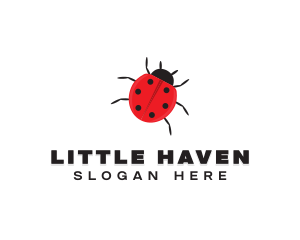 Little Ladybug Insect logo design