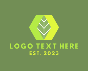 Hexagon Nature Leaf logo