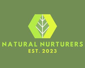 Hexagon Nature Leaf logo design