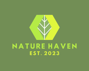 Hexagon Nature Leaf logo design