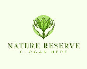 Natural Spa Therapy Leaves logo design