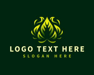 Eco Leaf Botanical logo