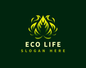 Eco Leaf Botanical logo design