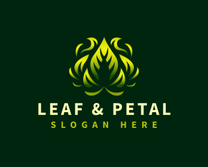 Eco Leaf Botanical logo