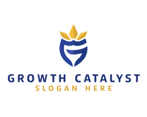 Generic Business Shield Crown logo design