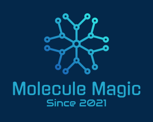 Star Molecule Circuit logo