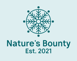 Nature Snowflake Pattern logo design