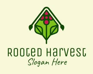 Organic Grape Vineyard logo design