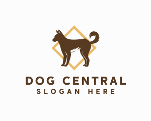 Dingo Canine Dog logo design