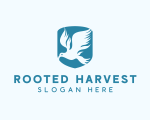 Blue Bird Hawk logo design