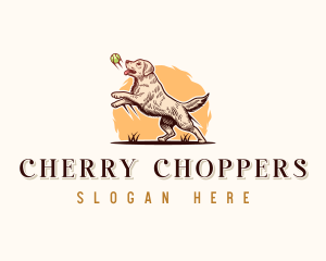 Kennel Dog Training logo design