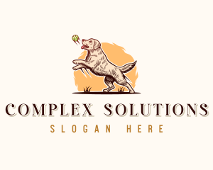 Kennel Dog Training logo design