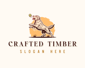 Kennel Dog Training logo design