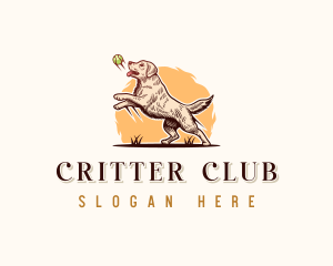 Kennel Dog Training logo design