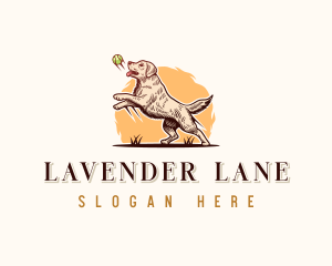 Kennel Dog Training logo design