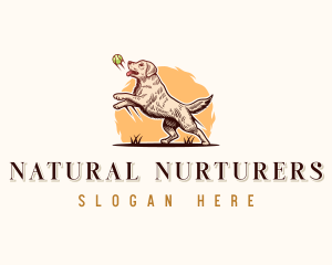 Kennel Dog Training logo design