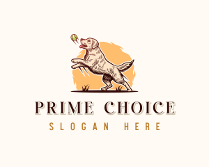 Kennel Dog Training logo design