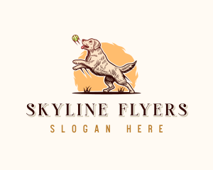 Kennel Dog Training logo design