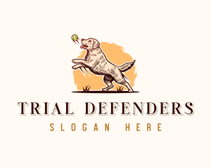 Kennel Dog Training logo design