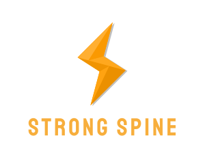 Geometric Lightning Bolt logo design