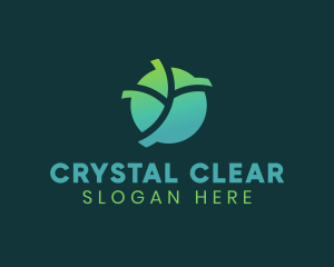 Natural Eco Leaf logo design