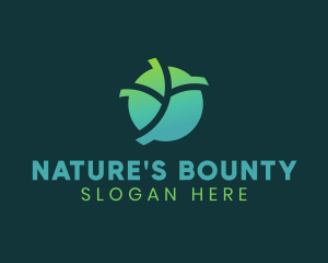 Natural Eco Leaf logo design