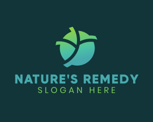 Natural Eco Leaf logo design