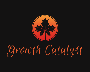 Elegant Maple Leaf logo design