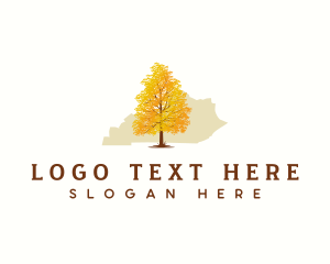 Kentucky Tulip Tree Logo