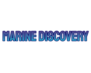 Aqua Marine Sea logo design