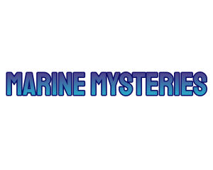 Aqua Marine Sea logo design