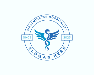 Caduceus Medical Hospital logo design