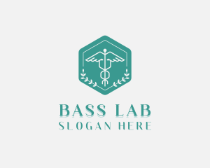 Medical Caduceus Clinic logo design