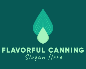 Natural Leaf Droplet logo design