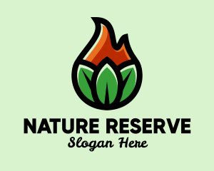 Nature Leaf Flame logo design