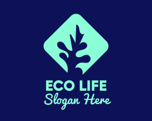 Sea Coral Aquarium logo design