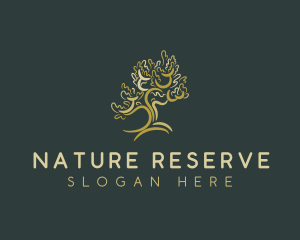 Forest Nature Tree logo design