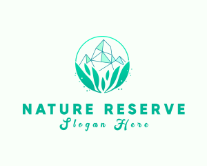 Natural Crystal Stone logo design