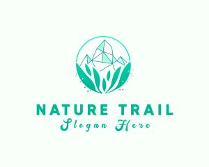 Natural Crystal Stone logo design