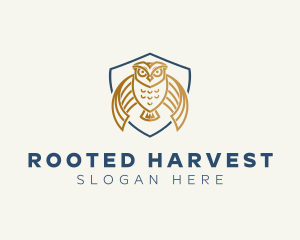 Owl Shield Crest logo design